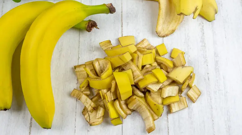 Não jogue fora as cascas de banana Transforme os em fertilizante para